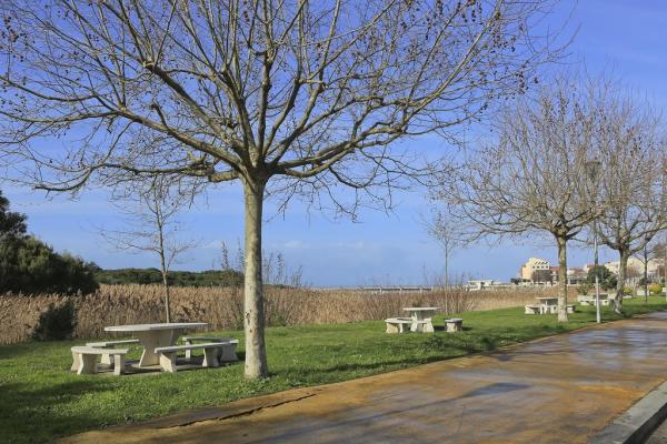 Parque de Merendas da Avenida Dr. Ramos Pereira, Vila Praia de Âncora