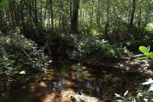 Trilho Monte das Minas