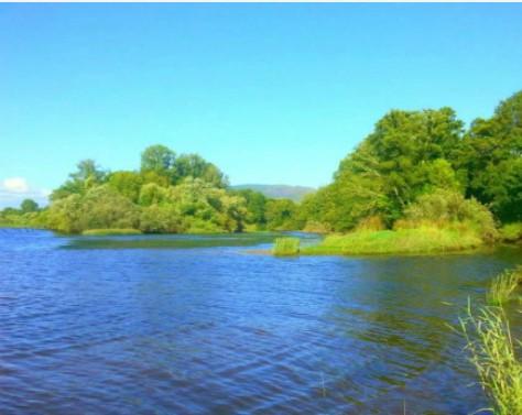 Ilha de São Pedro da Torre