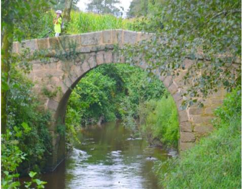 Ponte da Veiga da Mira (S. PEDRO / ARÃO)