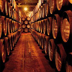 Caves de Vinho do Porto