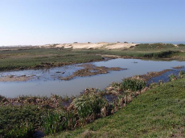 Paisagem Protegida Regional do Litoral e Reserva Ornitológica de Mindelo