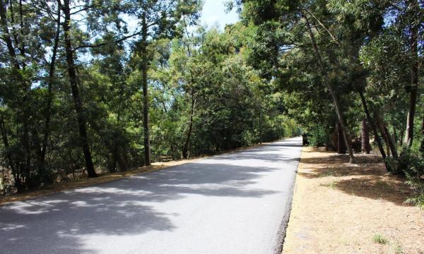 Mata Nacional Dunas da Gafanha