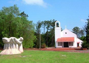 Mata Nacional Dunas da Gafanha 1