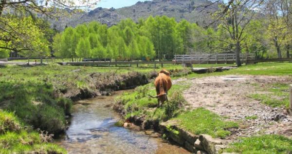 Trilho Interpretativo de Lamas de Mouro