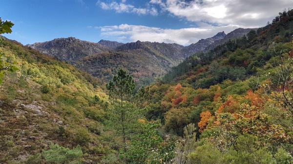 PR10 – Trilho da Preguiça