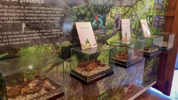 Porta de Campo do Gerês