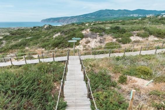 Núcleo de Interpretação da Duna da Cresmina