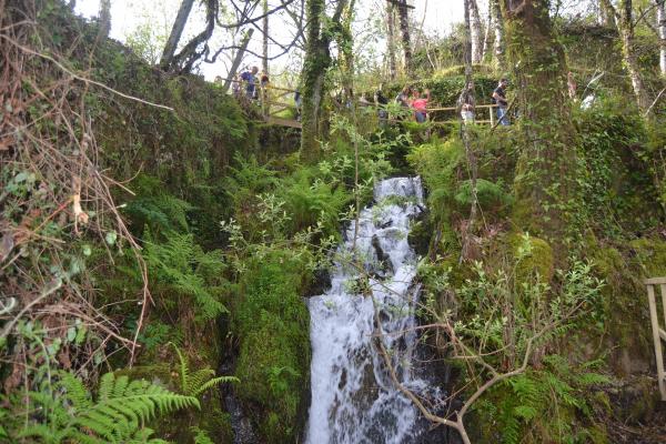 PR 2 - Trilho das Levadas