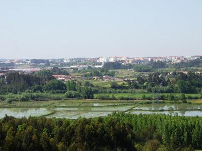 PR12 - Trilho dos Arrozais