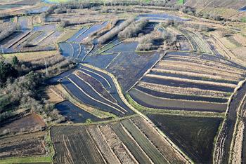 Património Natural BioRia