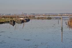 Percurso das Ribeiras de Pardilhó