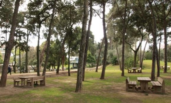 Parque Quinta da Alagoa