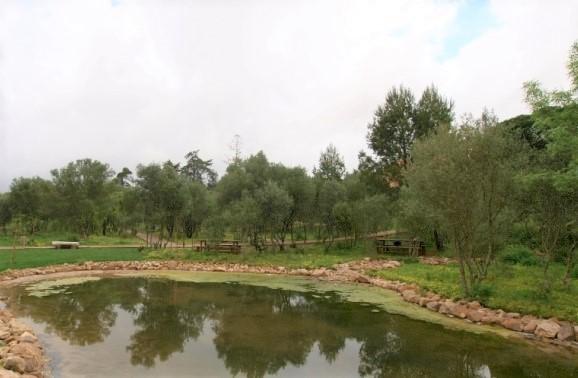 Parque Bosque dos Gaios