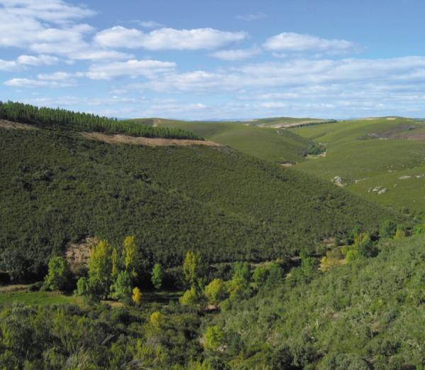 Parque Natural de Montesinho