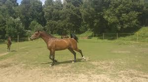 Centro Hípico da Quinta do Mosteiro