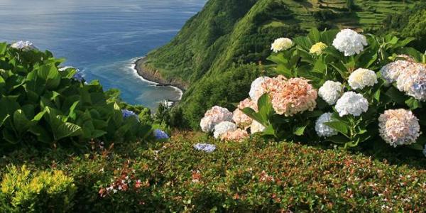 Miradouros da Ponta da Madrugada e da Ponta do Sossego