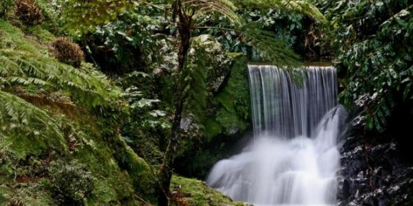 Parque da Ribeira Dos Caldeirões