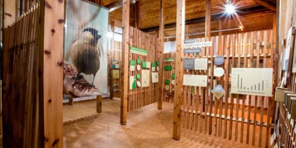 Centro Ambiental do Priolo