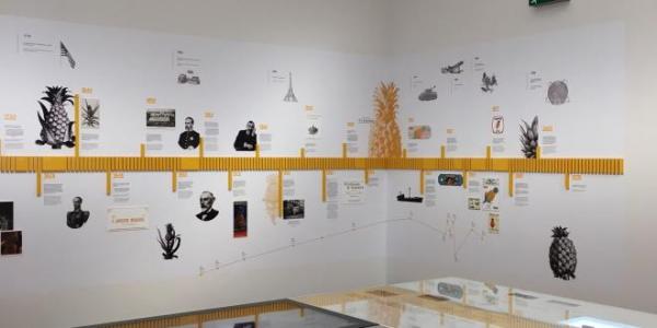 Centro de Interpretação da Cultura do Ananás