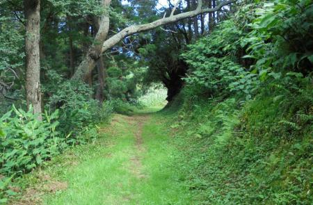 Trilhos de São Miguel 