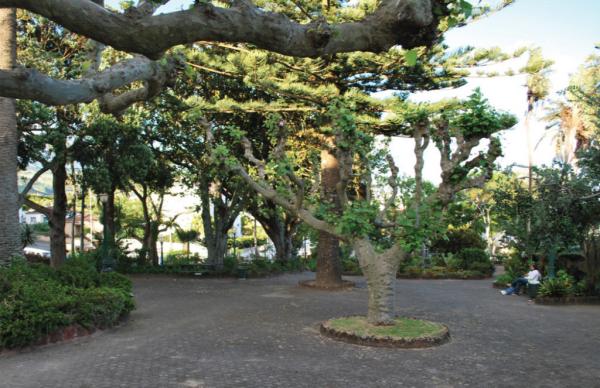 Jardim António da Silva Cabral
