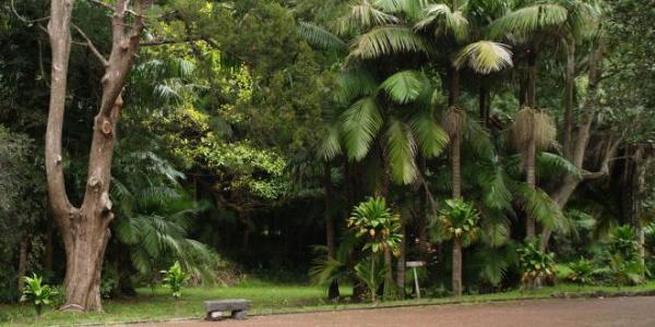 Jardim José do Canto