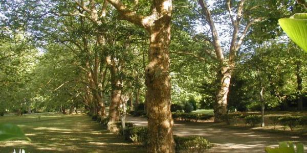 Parque D. Beatriz do Canto