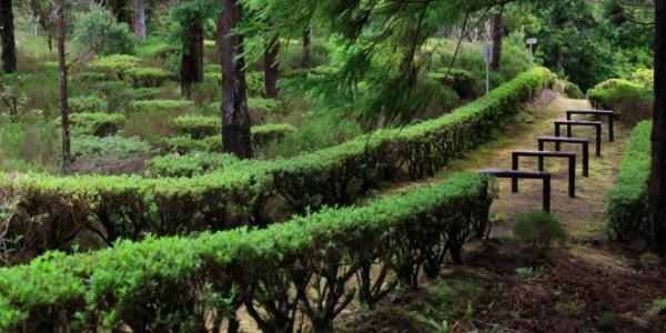 Reserva Florestal de Recreio da Cancela do Cinzeiro