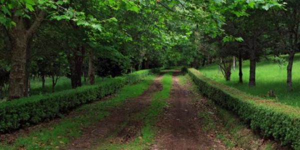 Reserva Florestal de Recreio de Água Retorta
