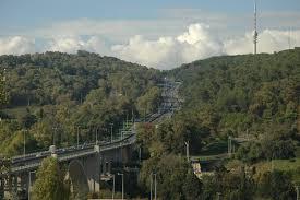 Parque Florestal de Monsanto