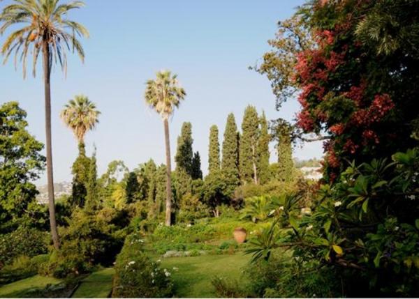 Jardim da Quinta Palmeira
