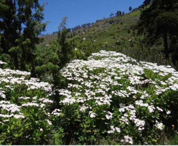 Parque Ecológico do Funchal