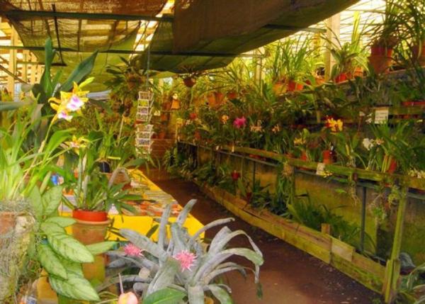 Jardim Quinta da Boa Vista