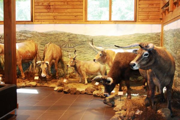 Centro Interpretativo das Raças Autóctones