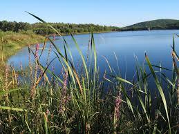 Parque Biológico de Vinhais