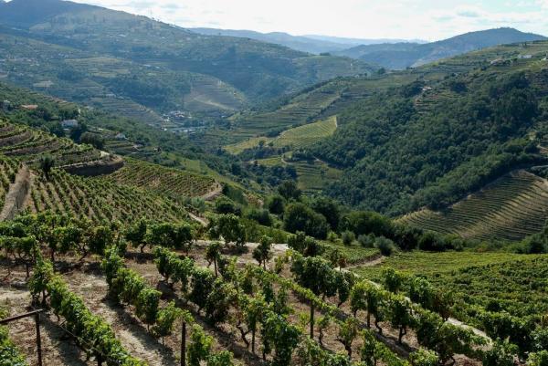 Miradouro da Senhora da Piedade