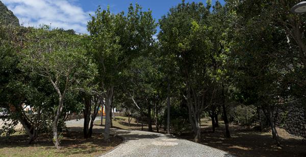 Jardim das Plantas Indígenas da Madeira