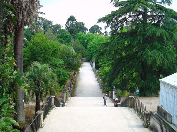 Jardim Botânico