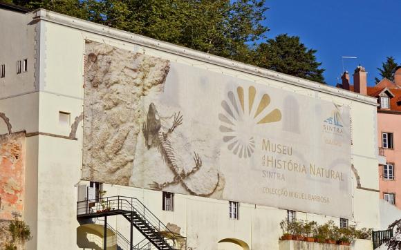 Museu de História Natural de Sintra