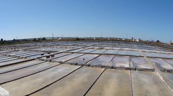 Salinas de Aveiro
