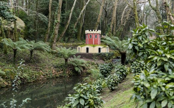 Parque da Pena