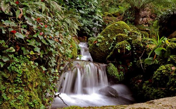 Cascata de Beckford – Monserrate