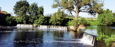 Souto da Lagoa e de Bairros Santiago de Bougado