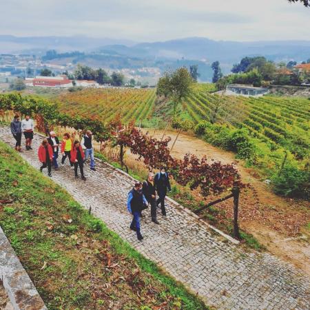 Prova de Vinhos em Sistelo  (4 a 8 pessoas)