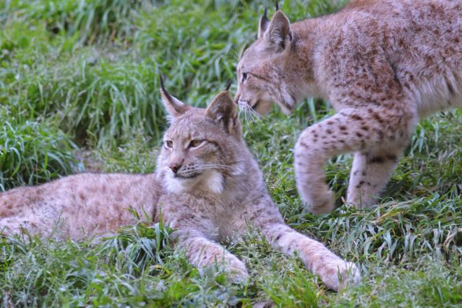 Pacotes Grupos e Team Building 