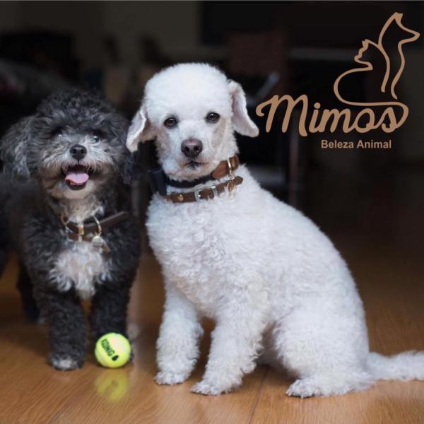 LOJA ANIMAIS - MIMOS BELEZA ANIMAIS