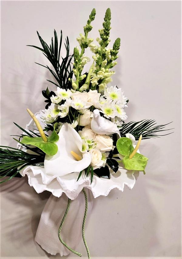 MIMOS BELEZA ANIMAL BARCELOS