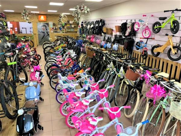 BICICLETAS PARA TODA A FAMILIA