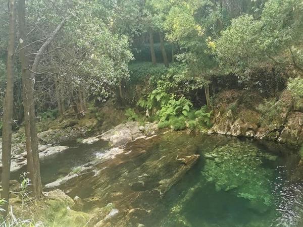 RESERVA NATURAL DA SERRA D'ARGA